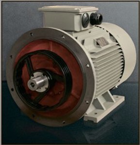 Электрический двигатель